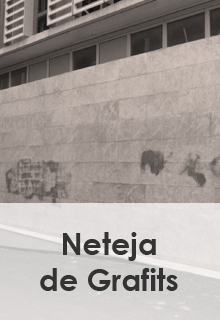 Neteja de Grafits